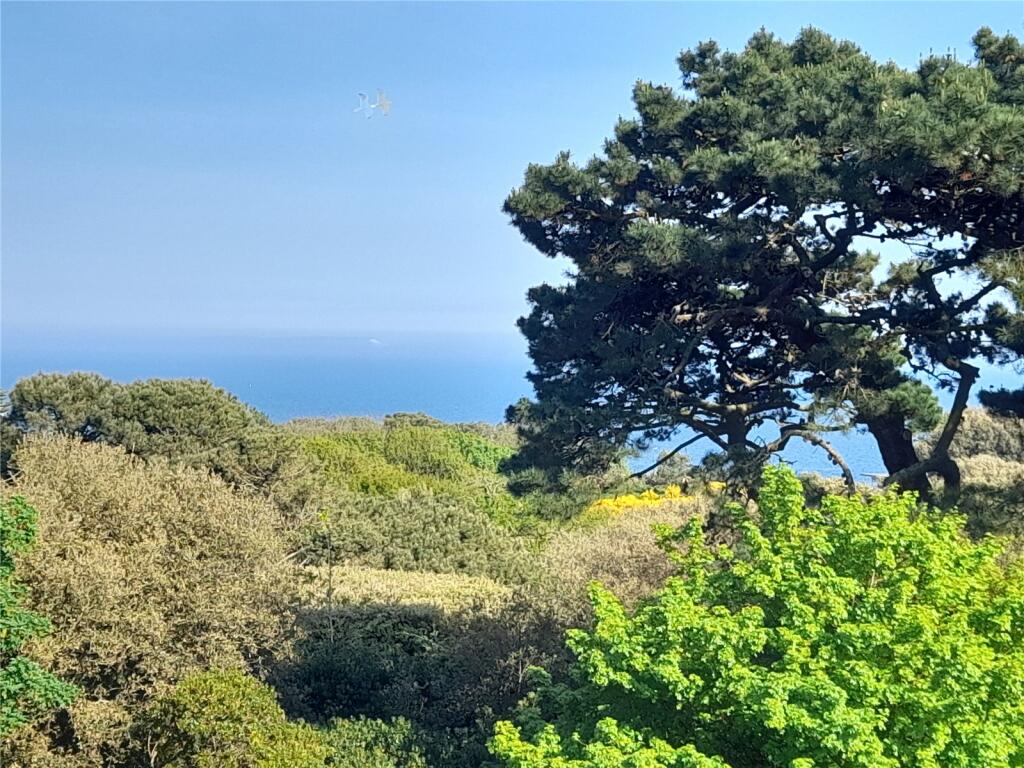 View From Balcony