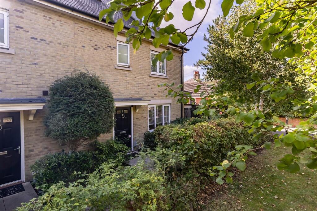 1 Kings wood  (25).jpg