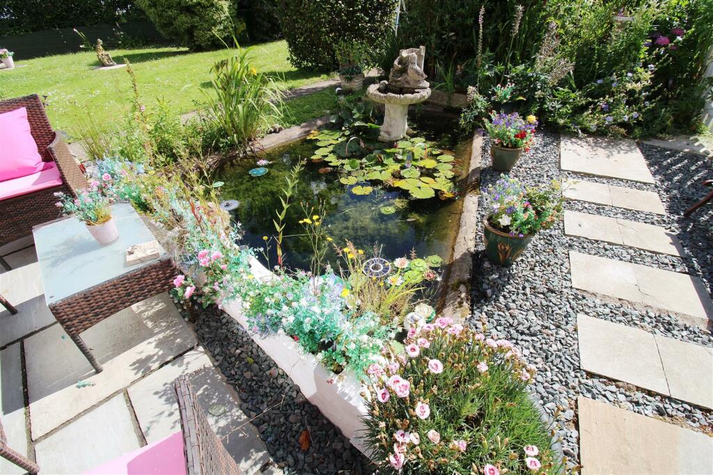Nature Pond