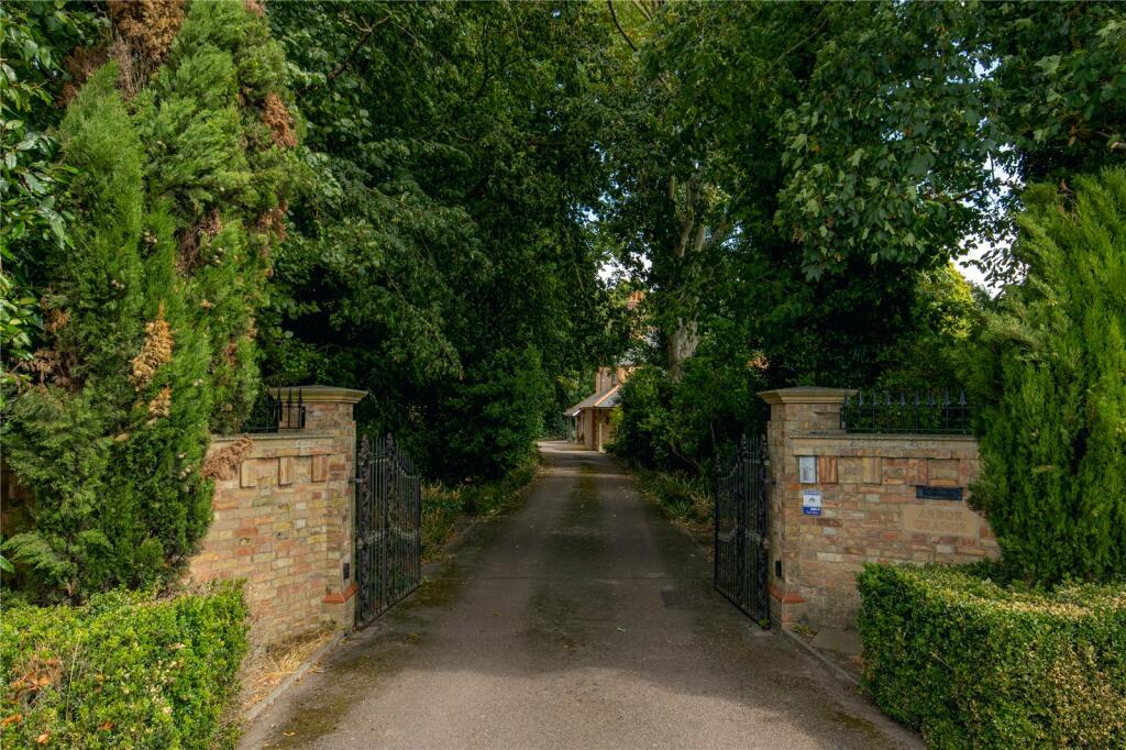 Driveway
