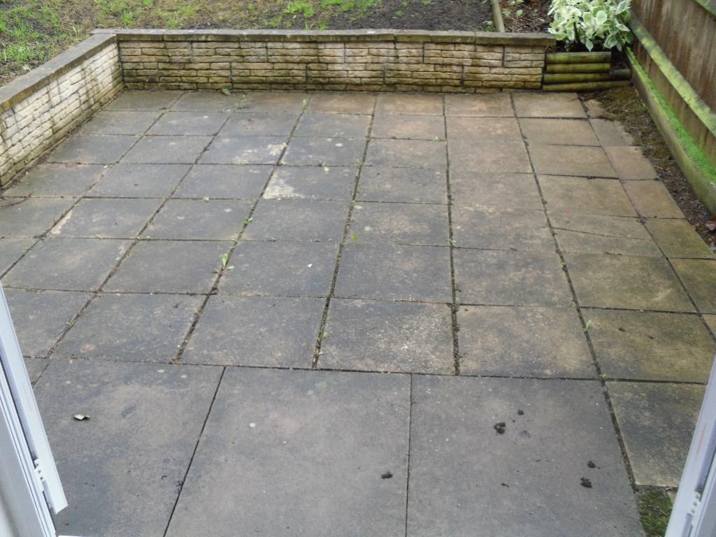 REAR GARDEN (7)