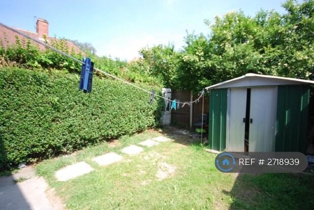 Back Garden