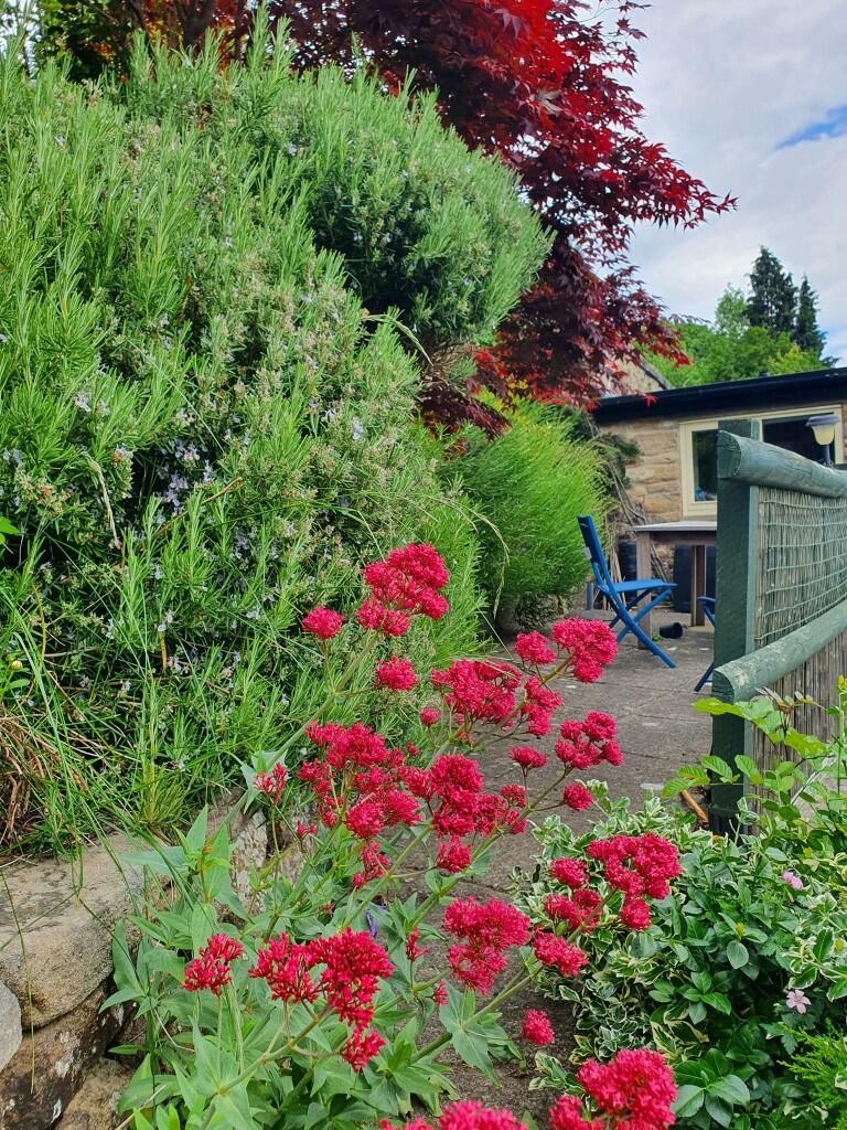 GARDEN IN SPRING