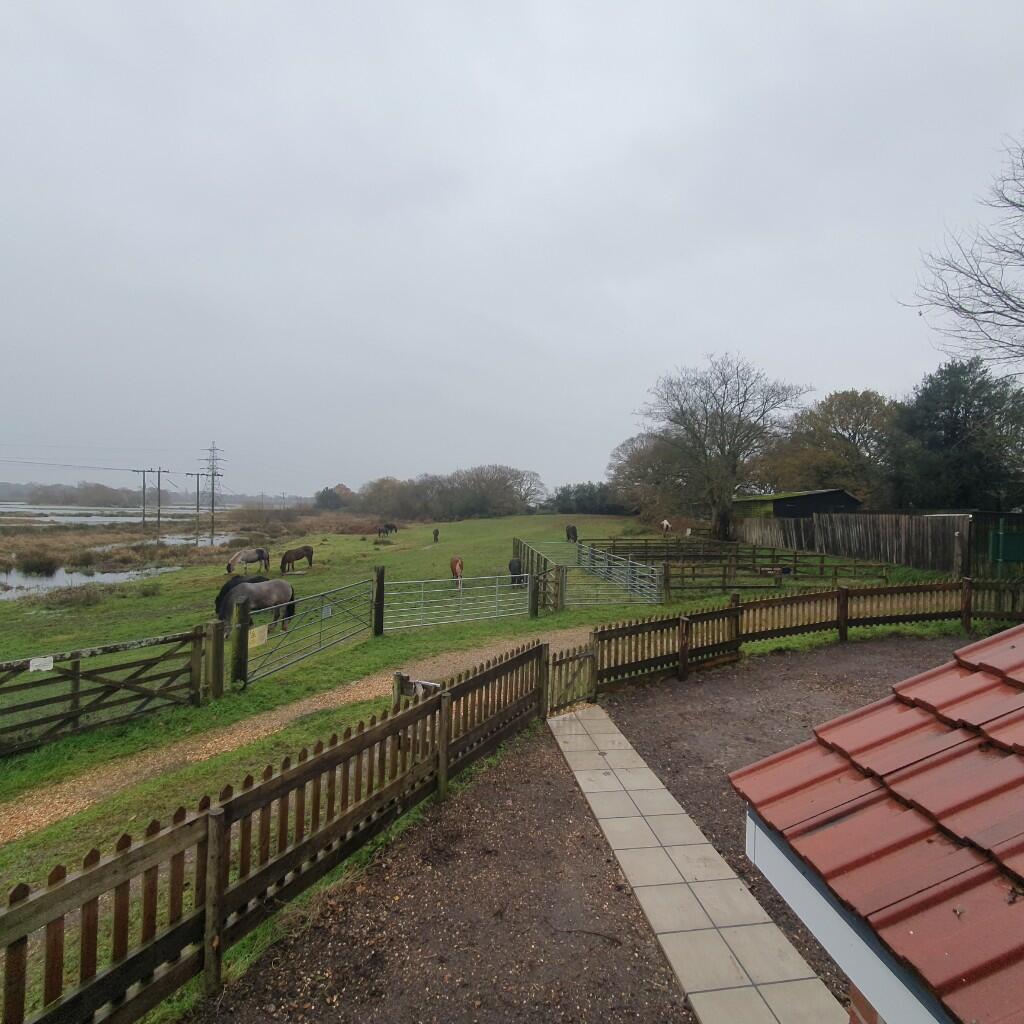 View from Bedroom