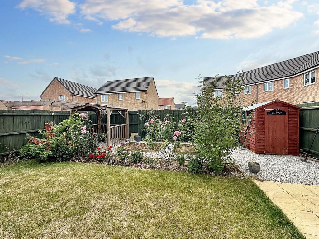 Back Garden