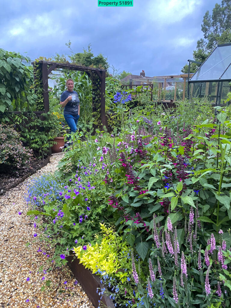 Wildlife garden central bed