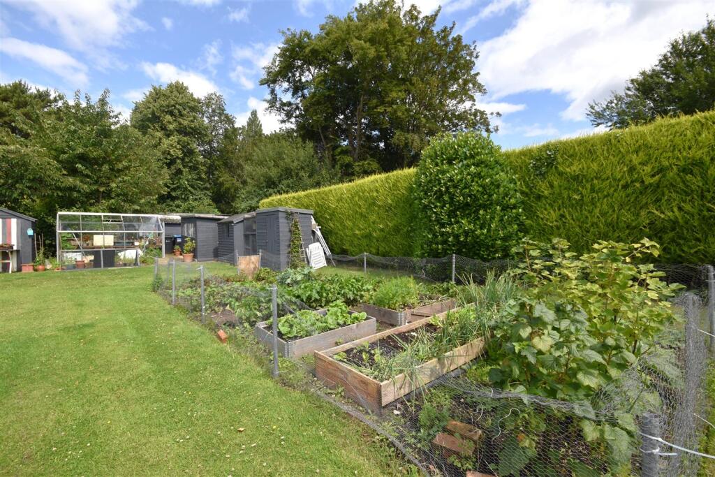 DSC_0129 - Copy (2).JPG