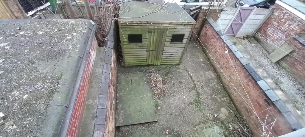 moss outside.jpeg