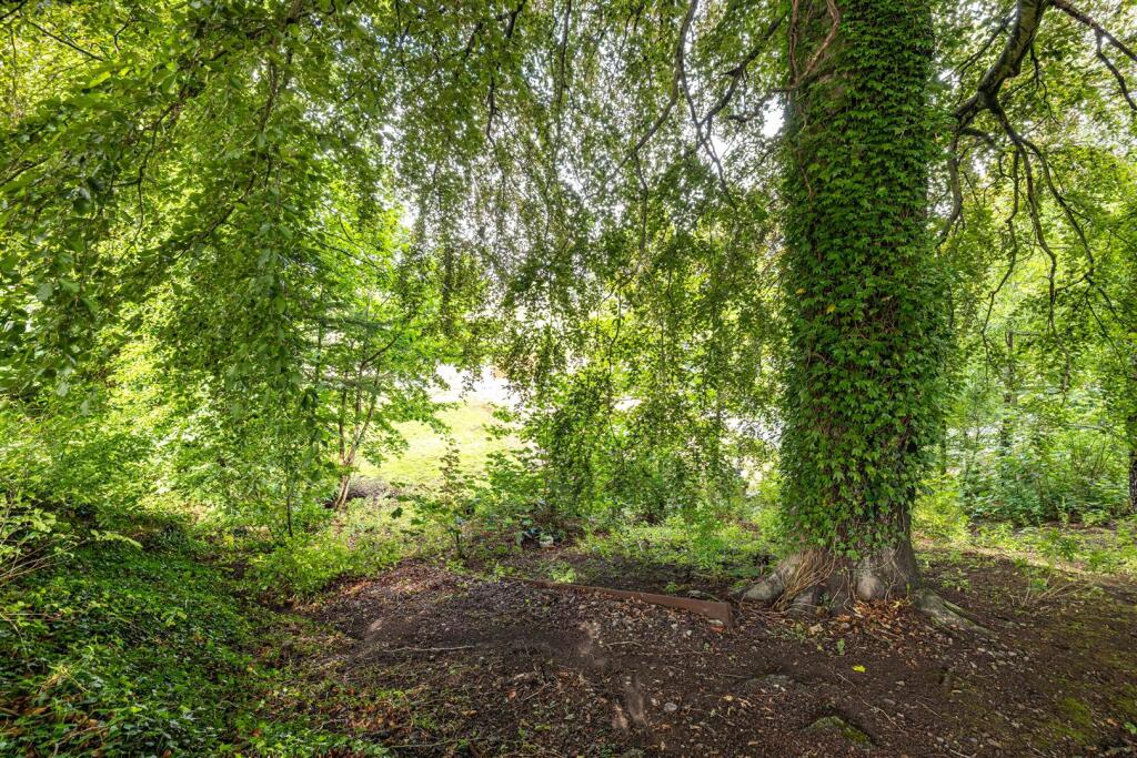 50 Highcross Avenue 042.jpg