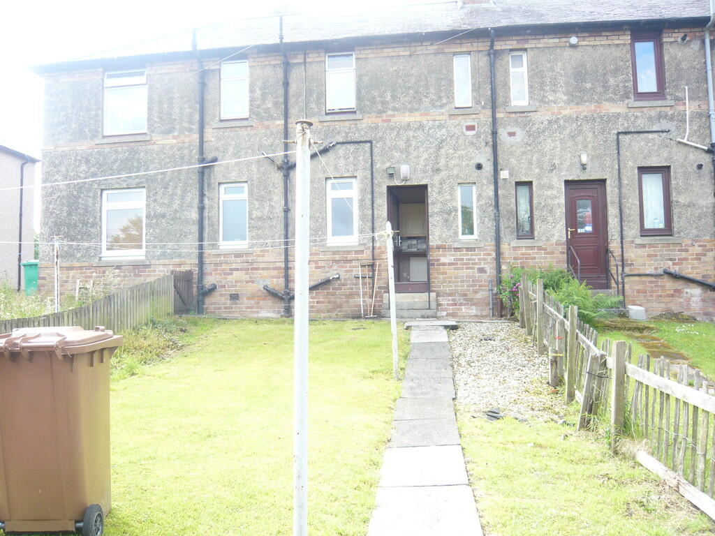 Back Garden