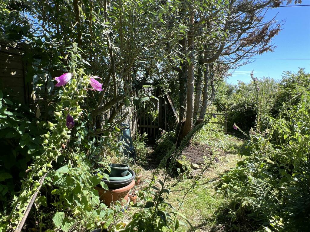 garden 2.jpg