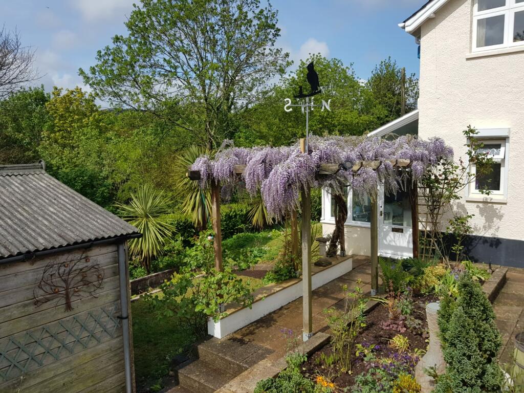 The Pergola in Summer