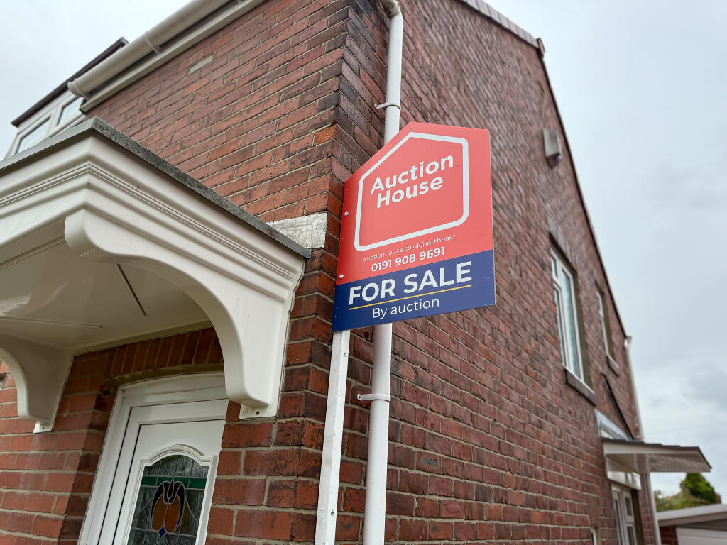 IMG 1672 T202507231135.jpg