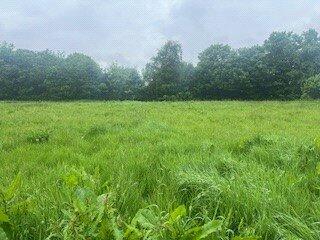 Picture No. 14