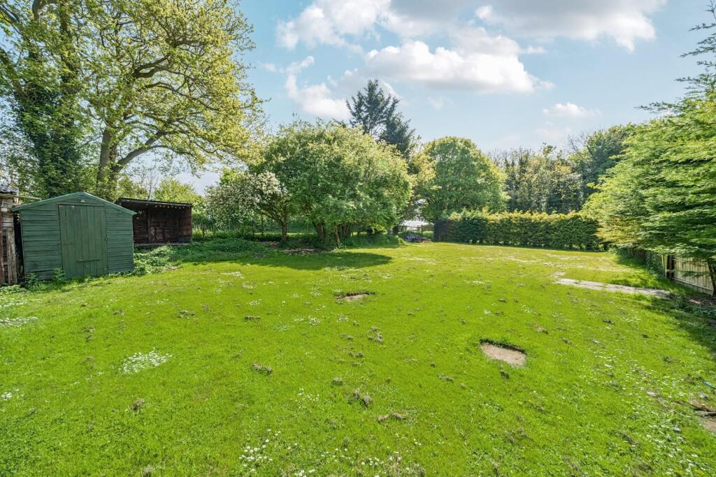 REAR GARDEN.jpg