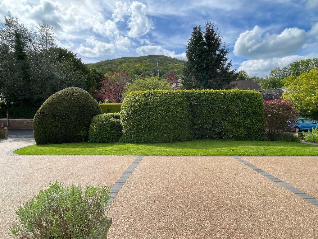 View from your front door every day