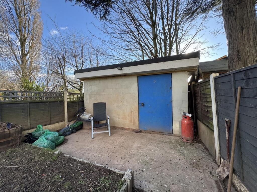 IMG_4880 (Large).JPG