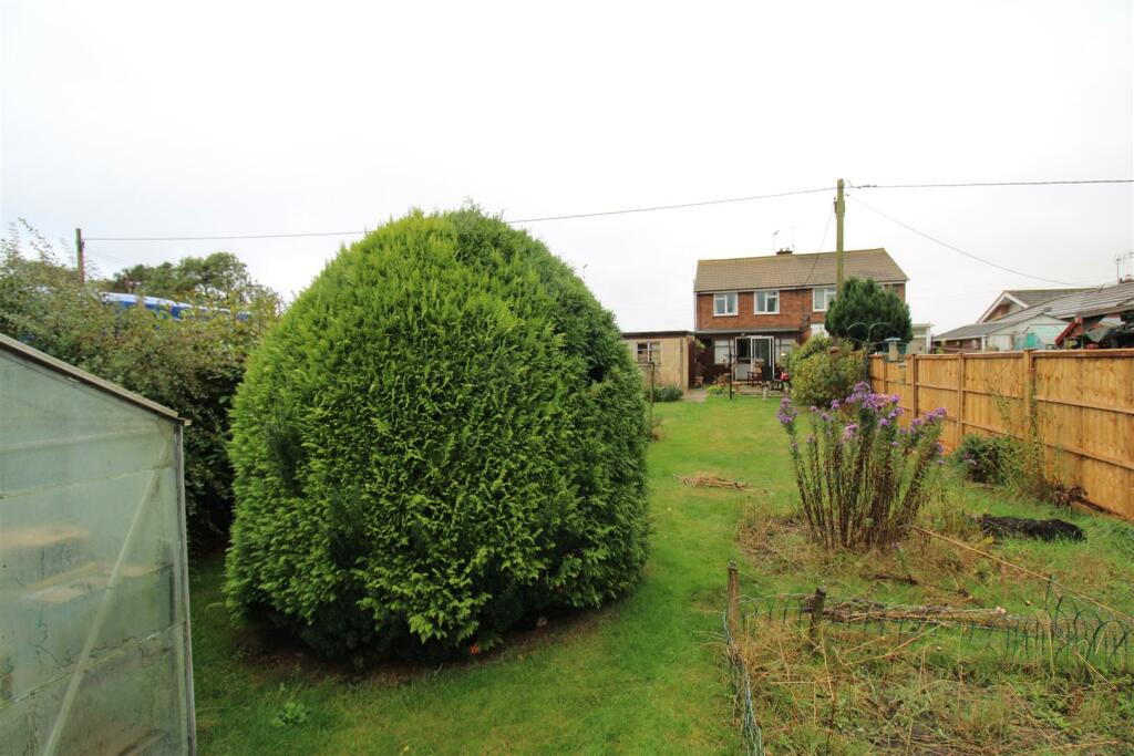 Garden - Back