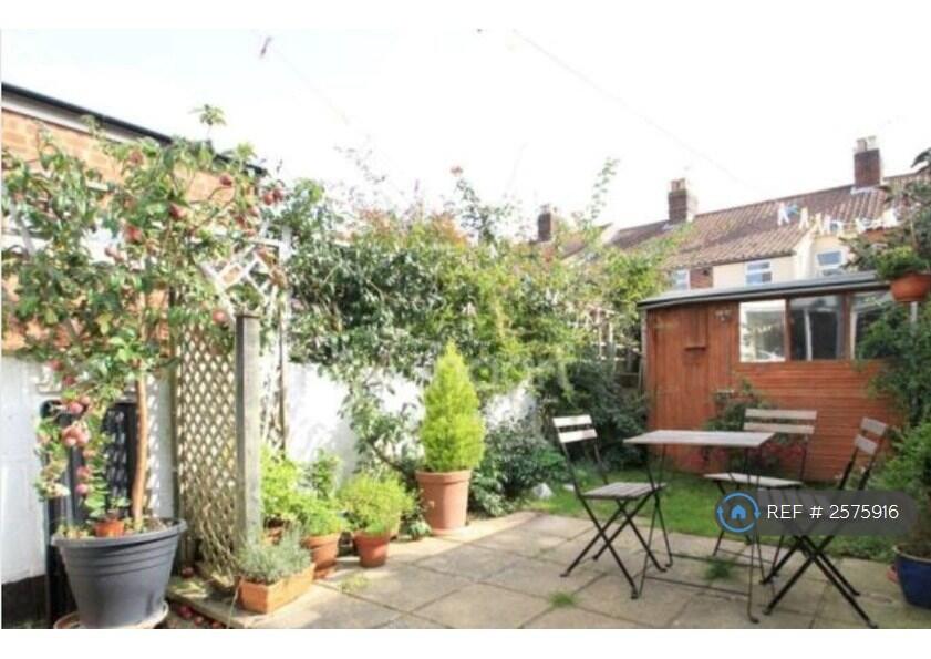 Back Garden 1