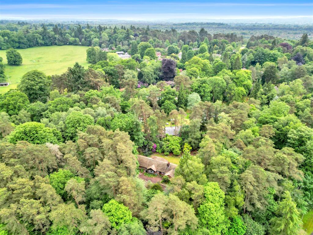 DJI_0459.jpg