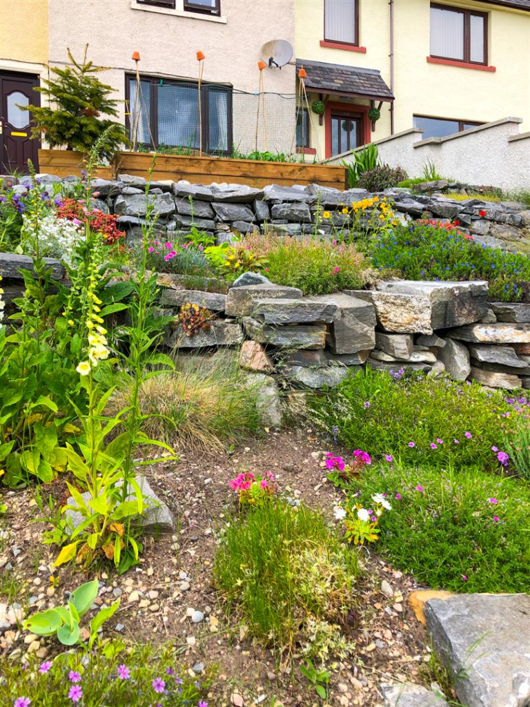 Front Garden in Bloom