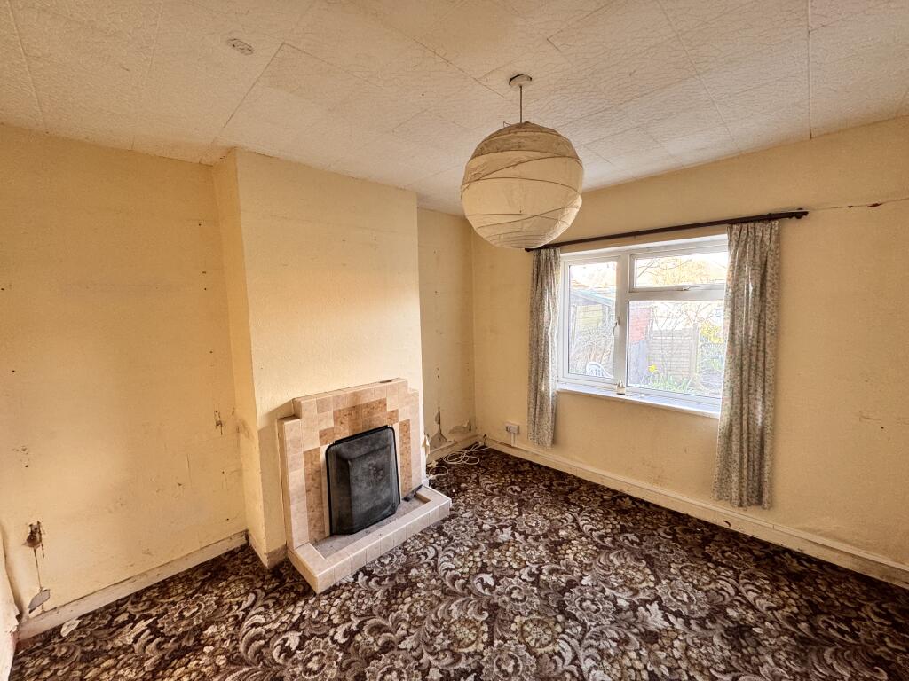 IMG 6923 T202503131011.jpeg