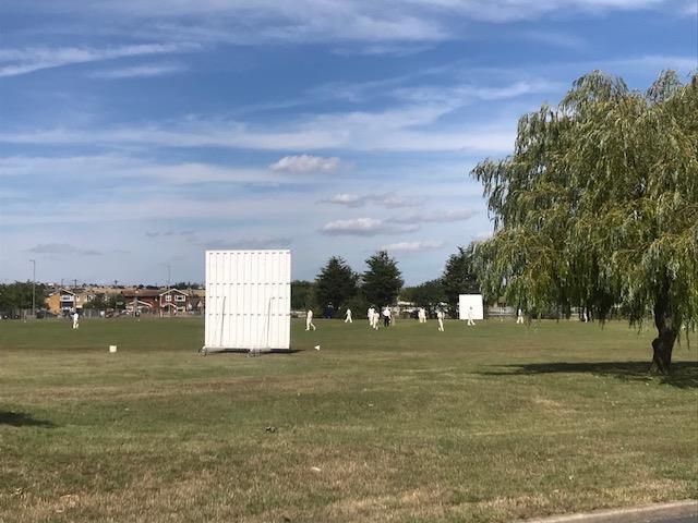 cricket.jpg