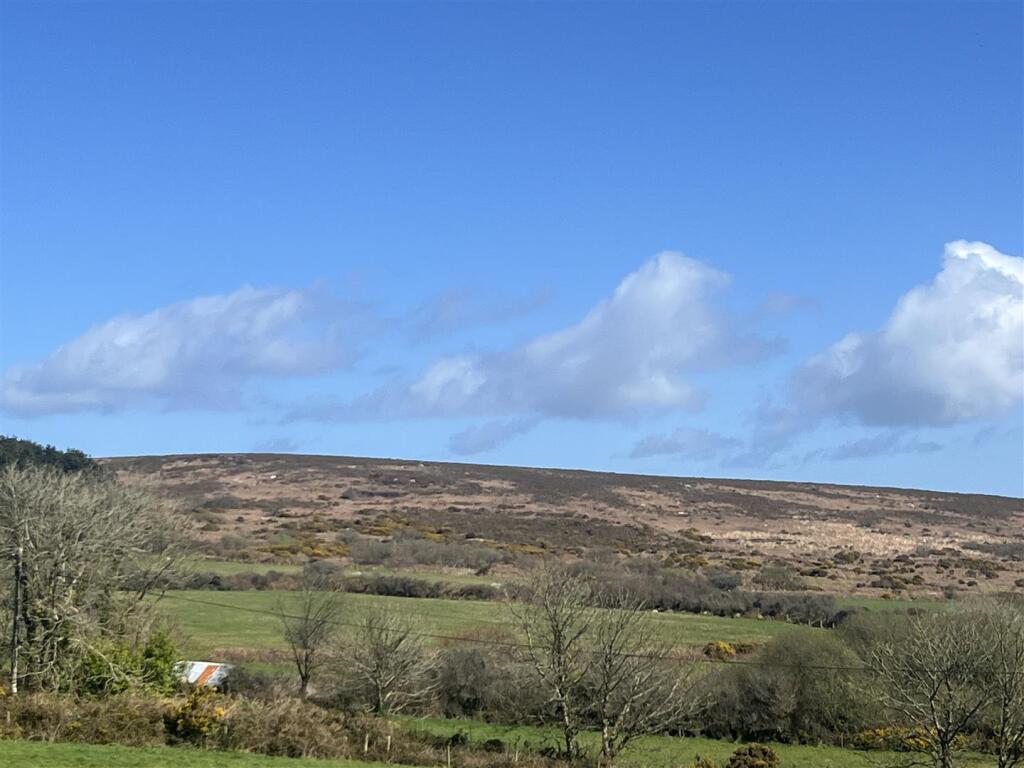 View from garden