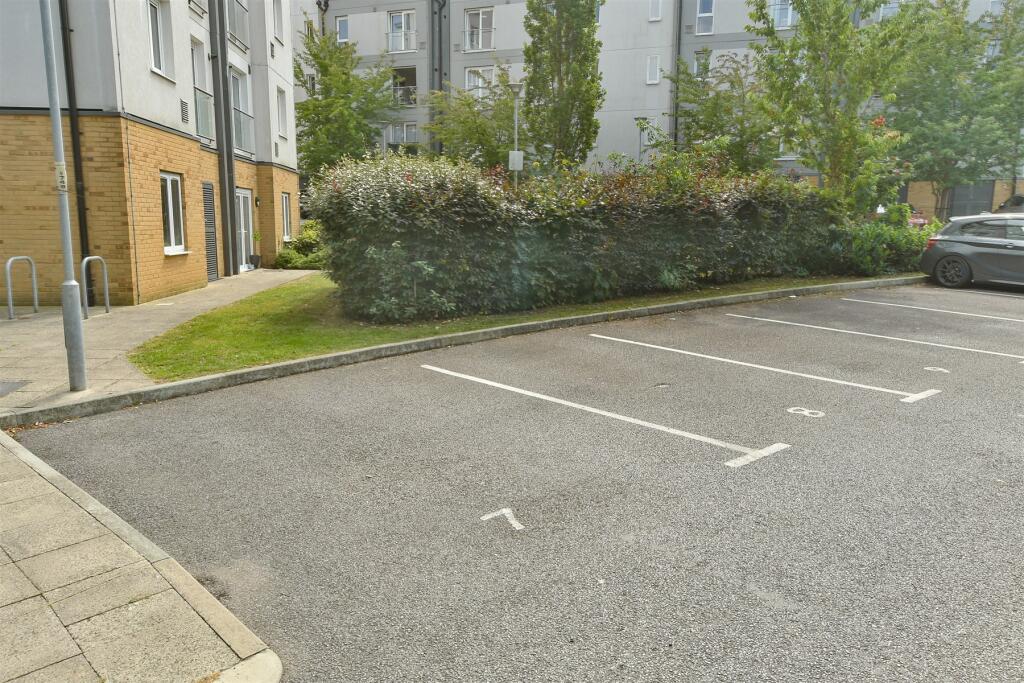 Driveway/Parking