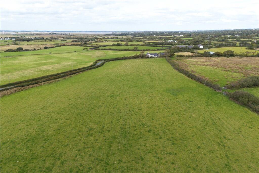 Lot 1