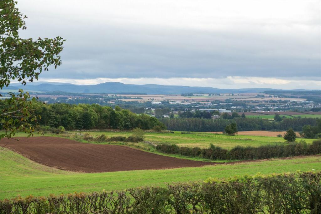 View From Garden