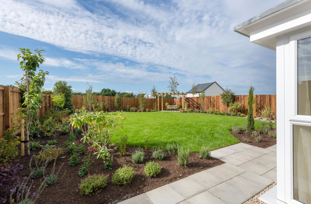 Back garden view