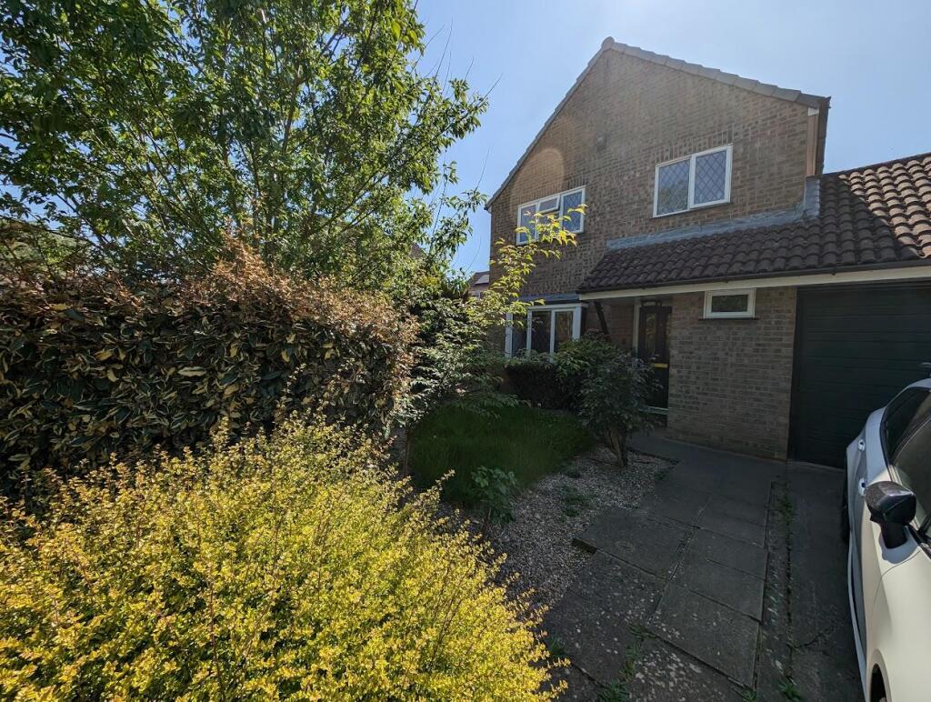 9 Templar front shot.jpg