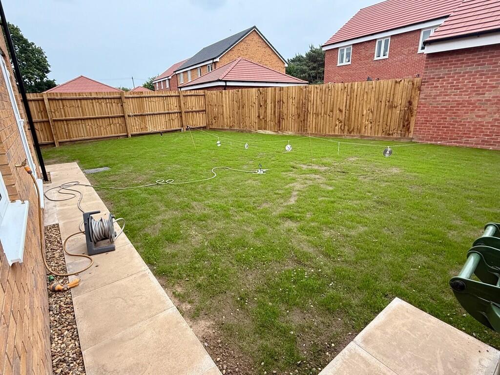 garden