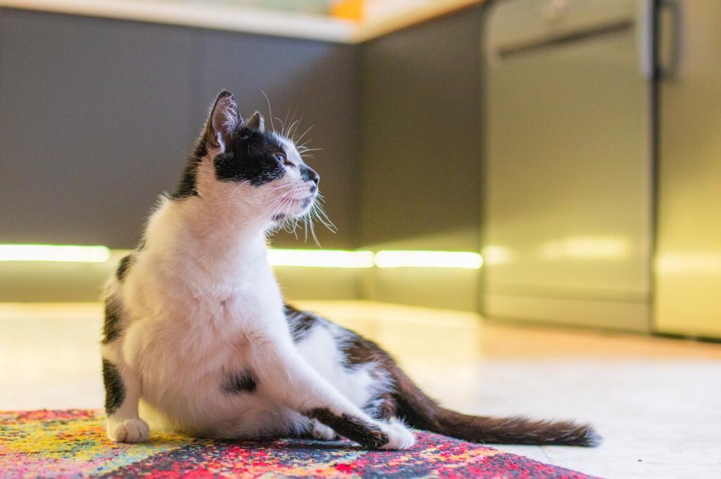 Award-winning Media team on EVERY Listing_29