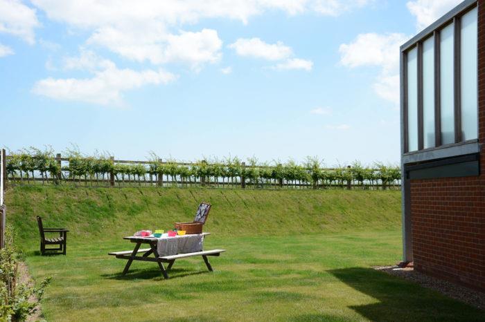 Picnic-2-700x466.jpg