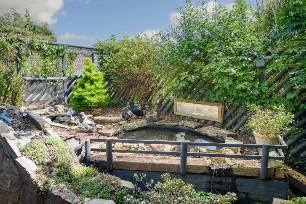 Duck pond
