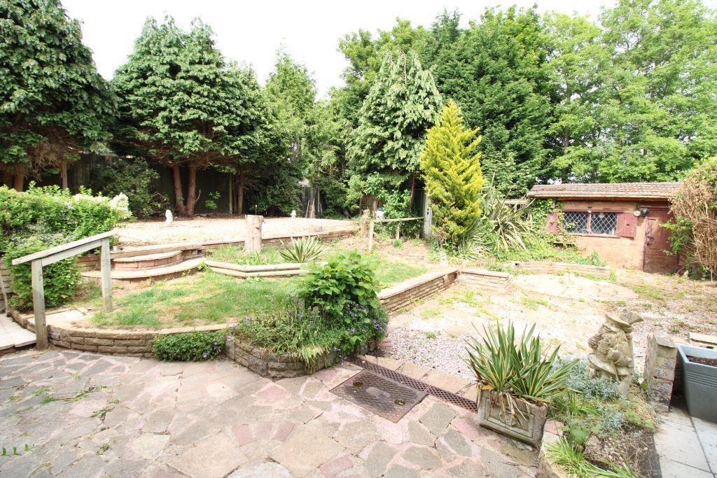 GARDEN.JPG