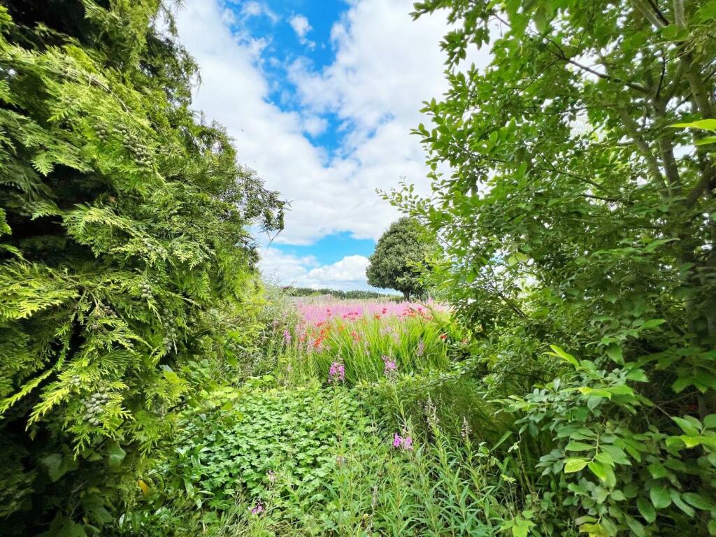 Side Garden.jpg