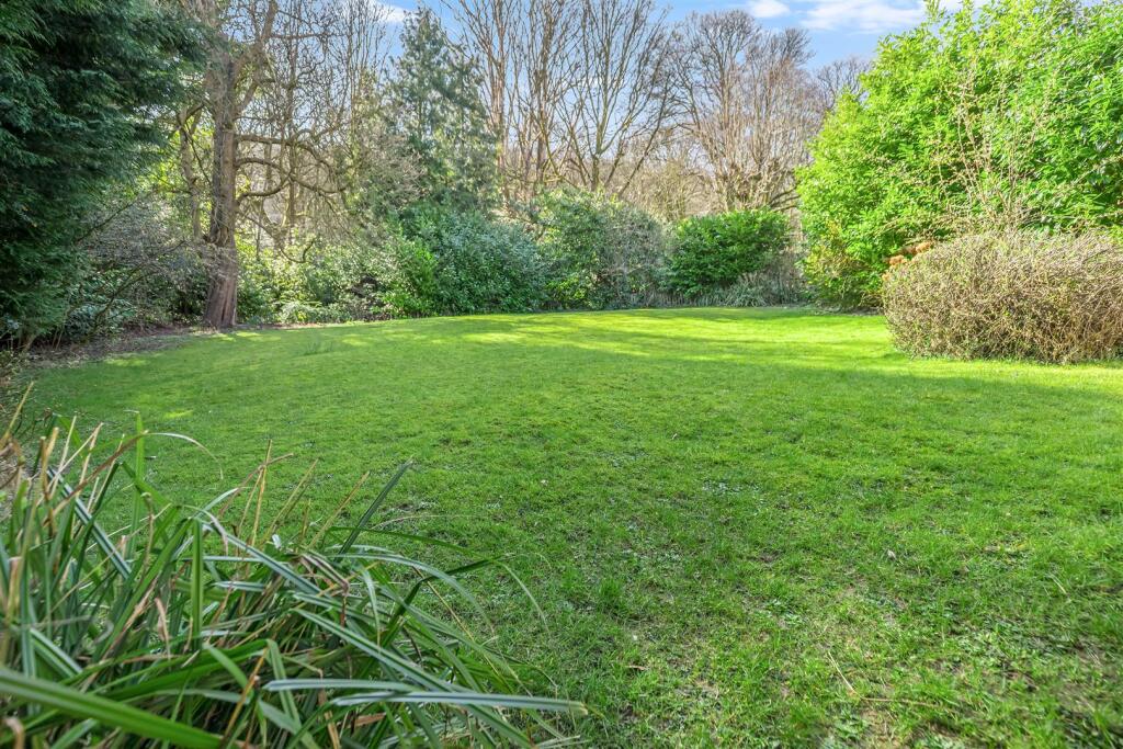 Garden.jpg