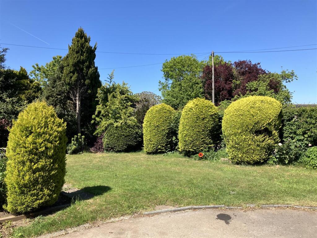 sunny front garden.jpg