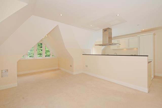 Reception Room/Kitchen