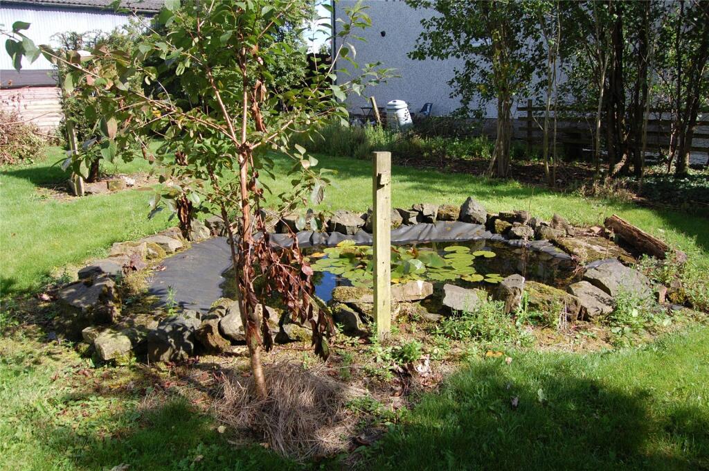 Pond