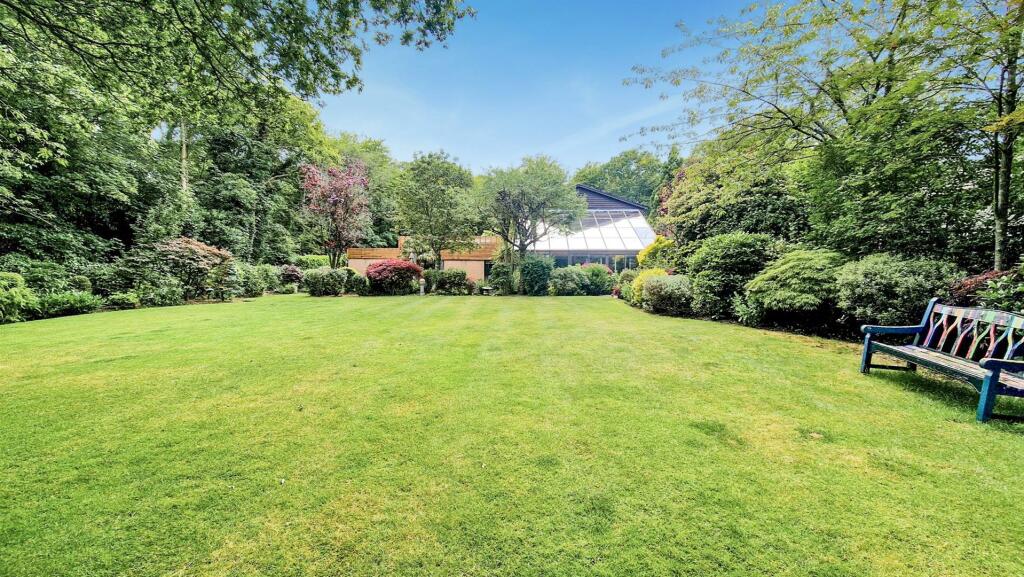 REAR SHOT MEDIUM.jpg