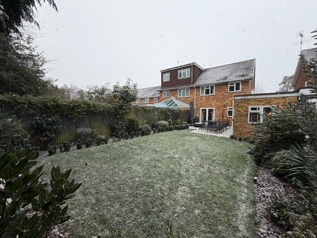 WhatsApp Image 20...