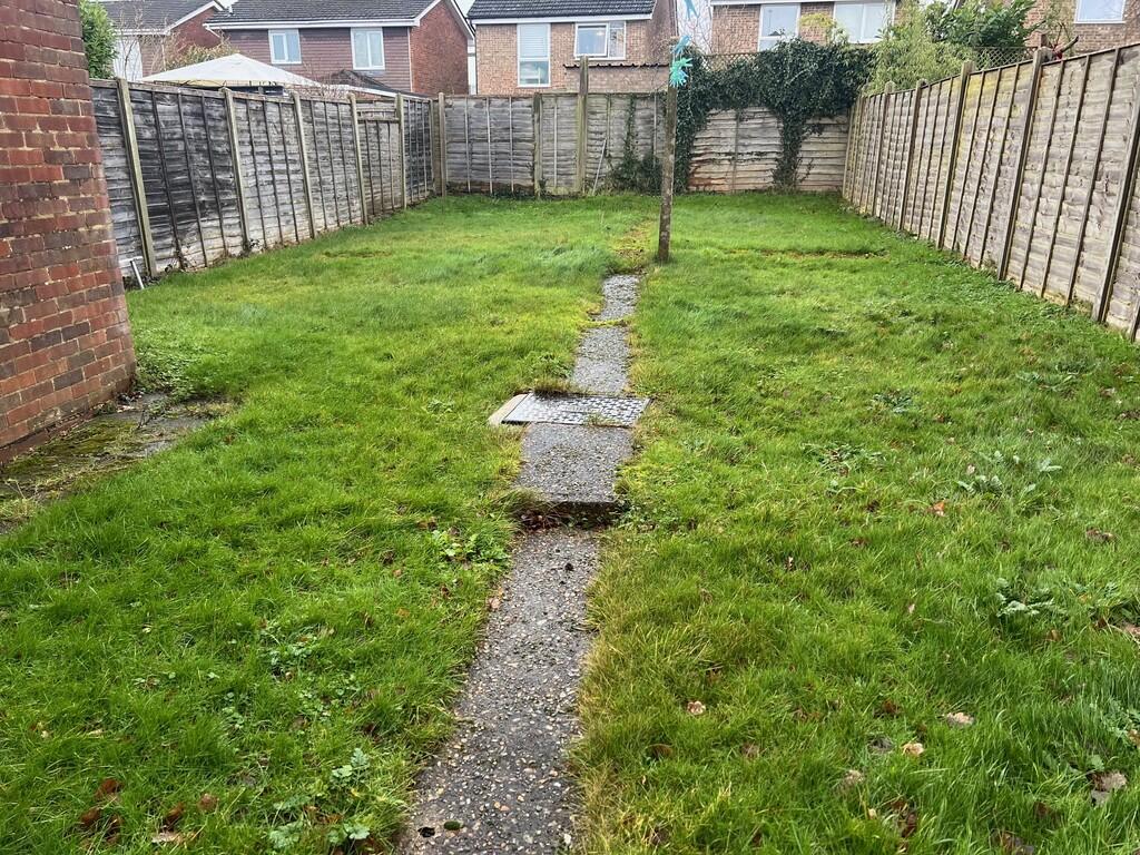 Back garden 2
