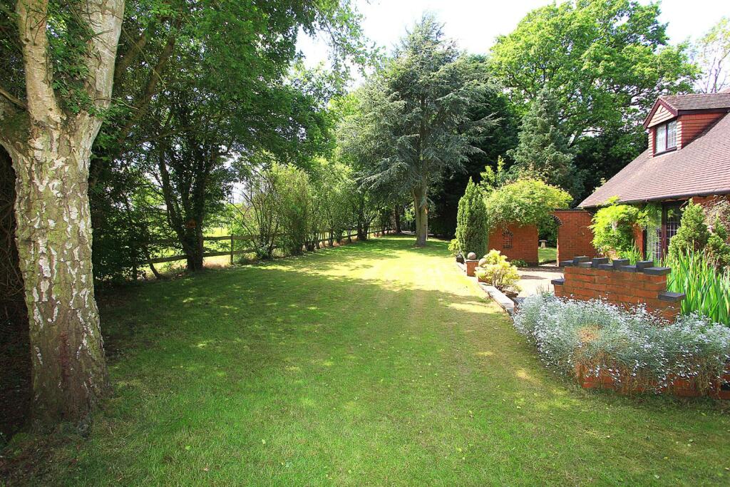 Side Garden