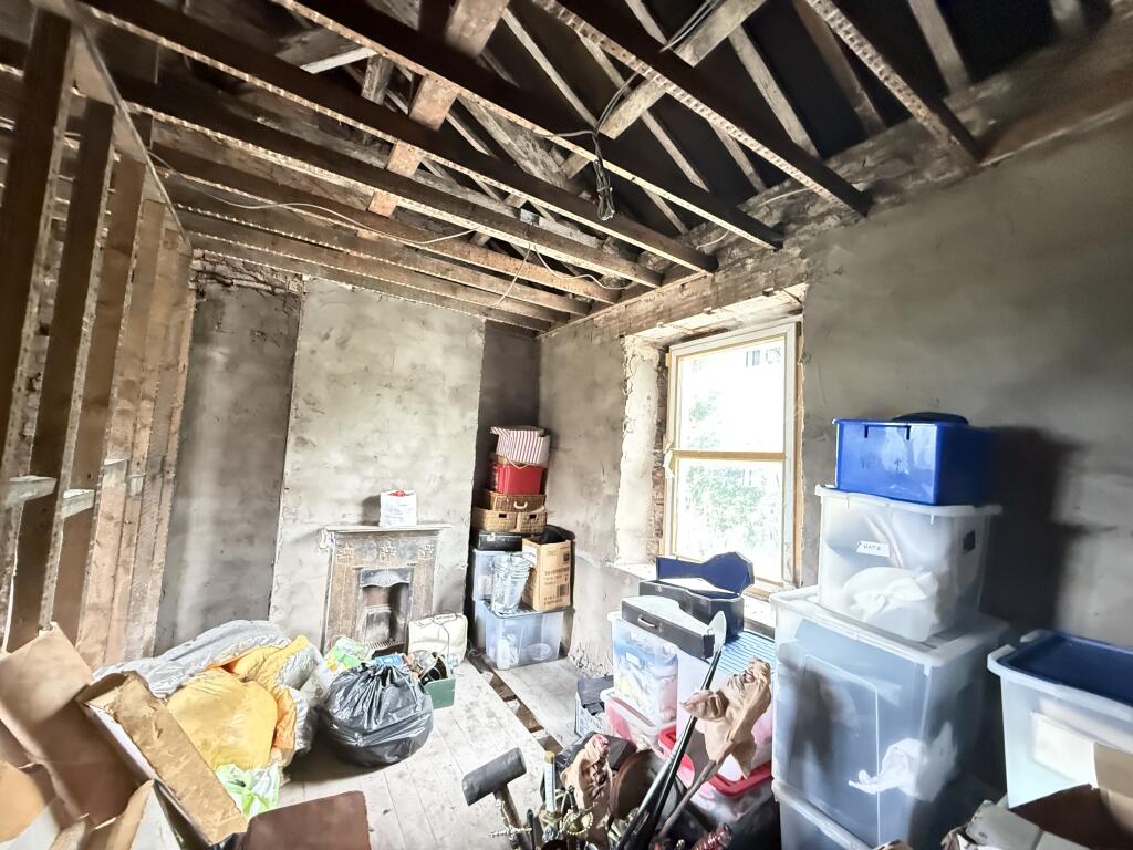 IMG 0789 T202507290959.jpg