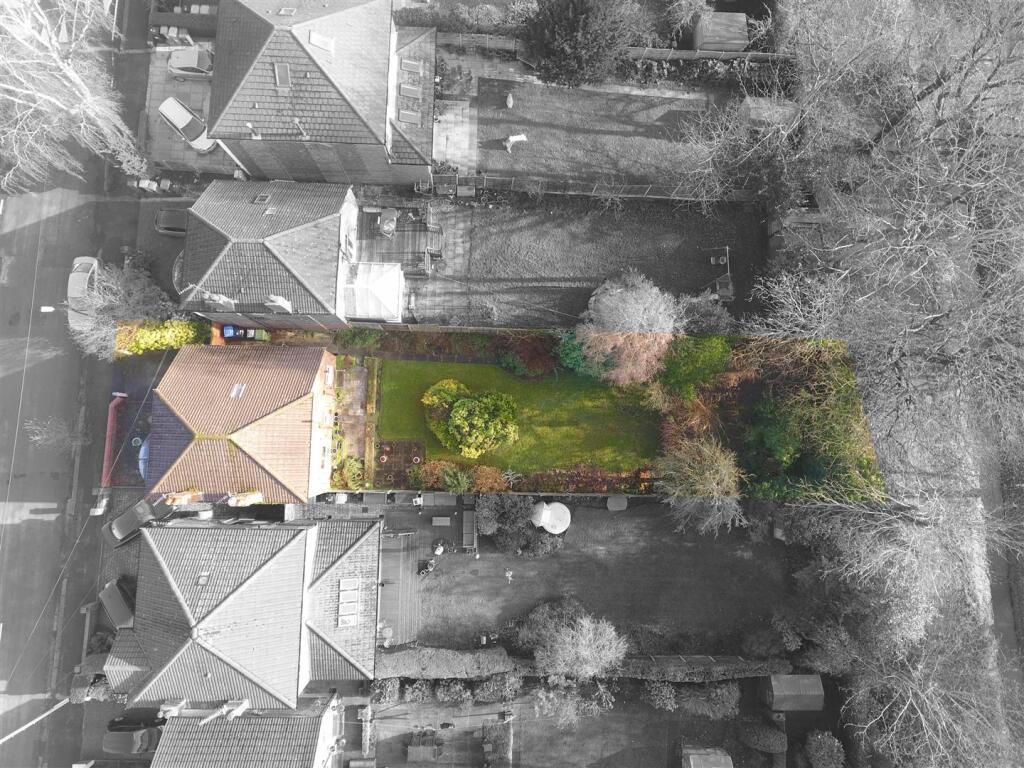 Plot view