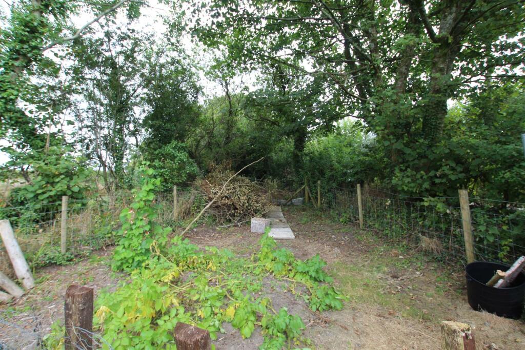 VEG GARDEN.JPG